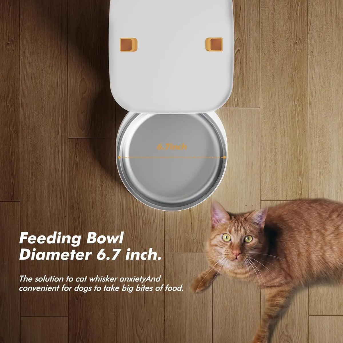 Nityers Automatic Cat Feeder With Voice Recorder And Timed Feeding