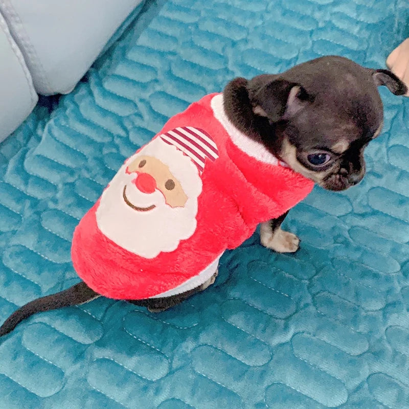 Cute Print Tea Cup Warm Fleece Sweater for Small Dogs