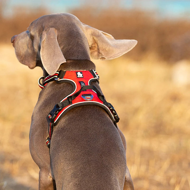 Truelove Reflective No Pull Dog Harness For Walking And Safety