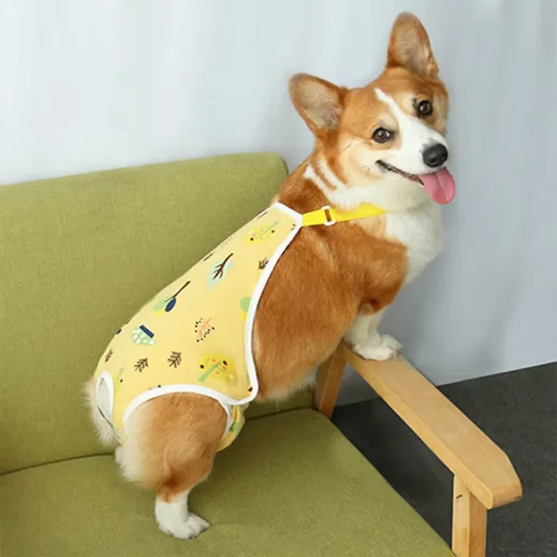 Washable Female Dog Diaper Pants With Adjustable Shoulder Straps