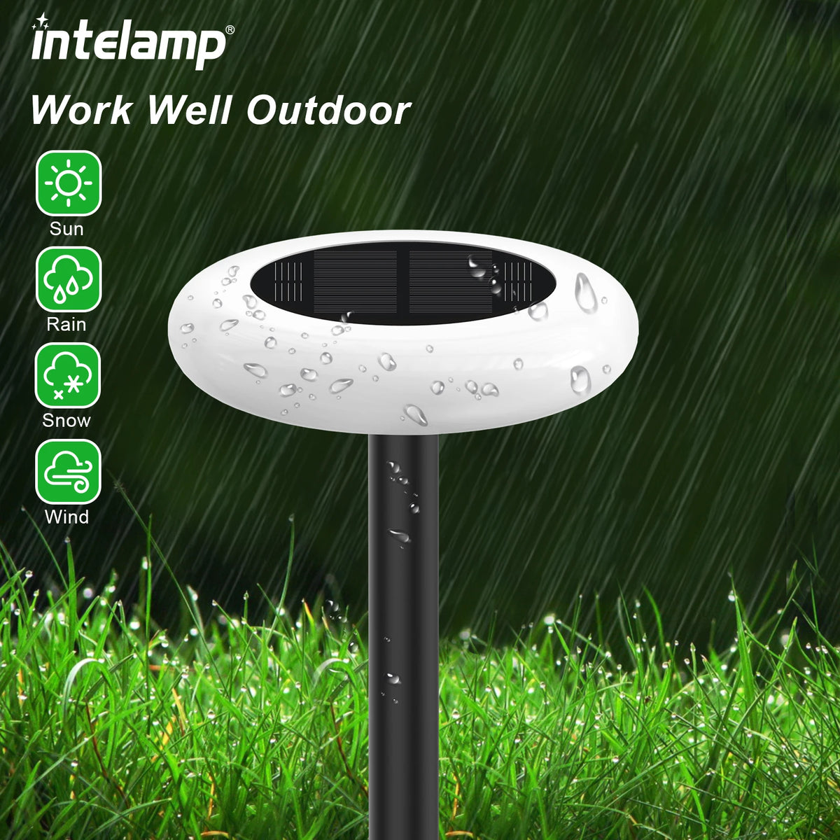 Intelamp Outdoor Solar LED Pathway Lights for Garden and Landscape