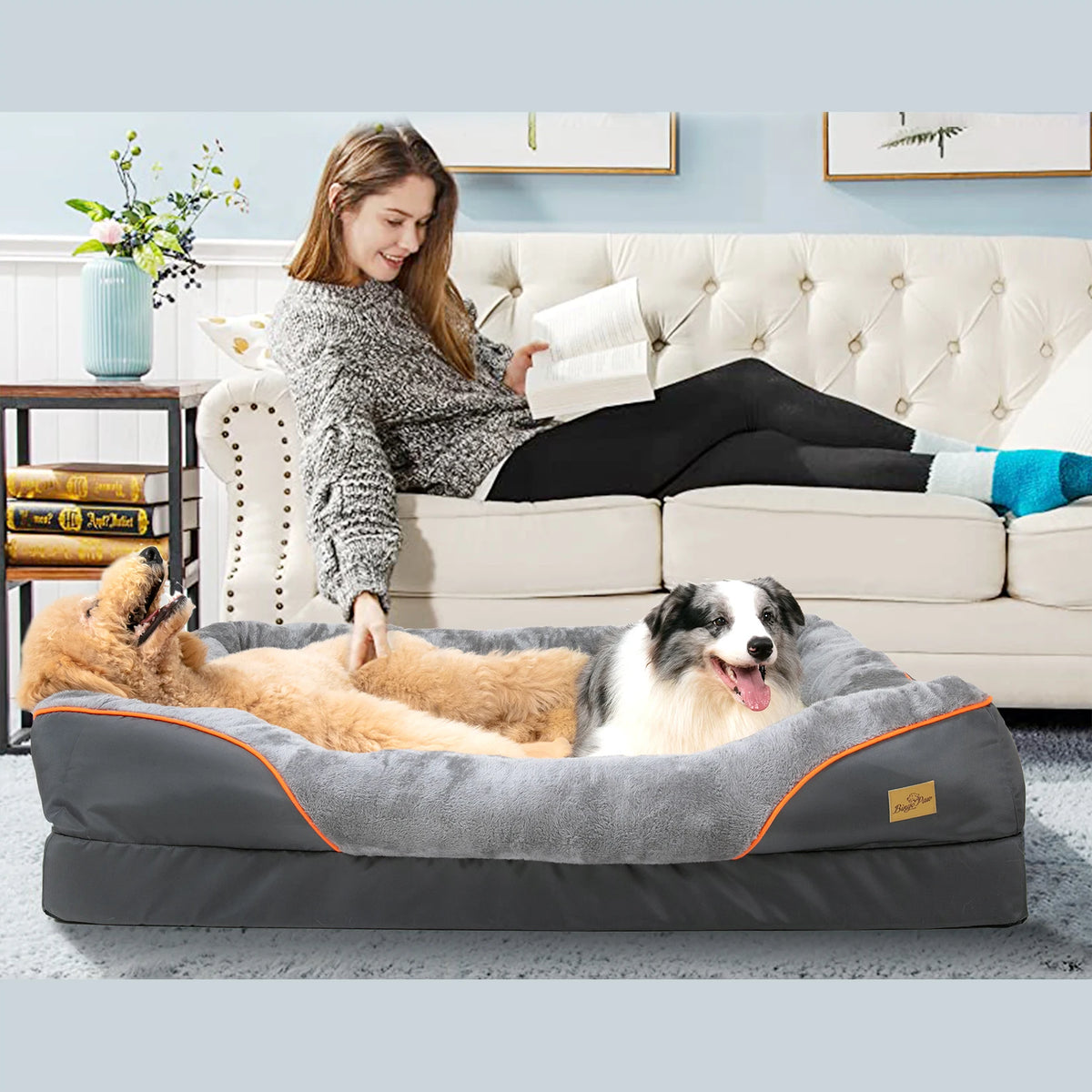 BINGOPAW Comfortable Foam Dog Bed With Removable Washable Cover
