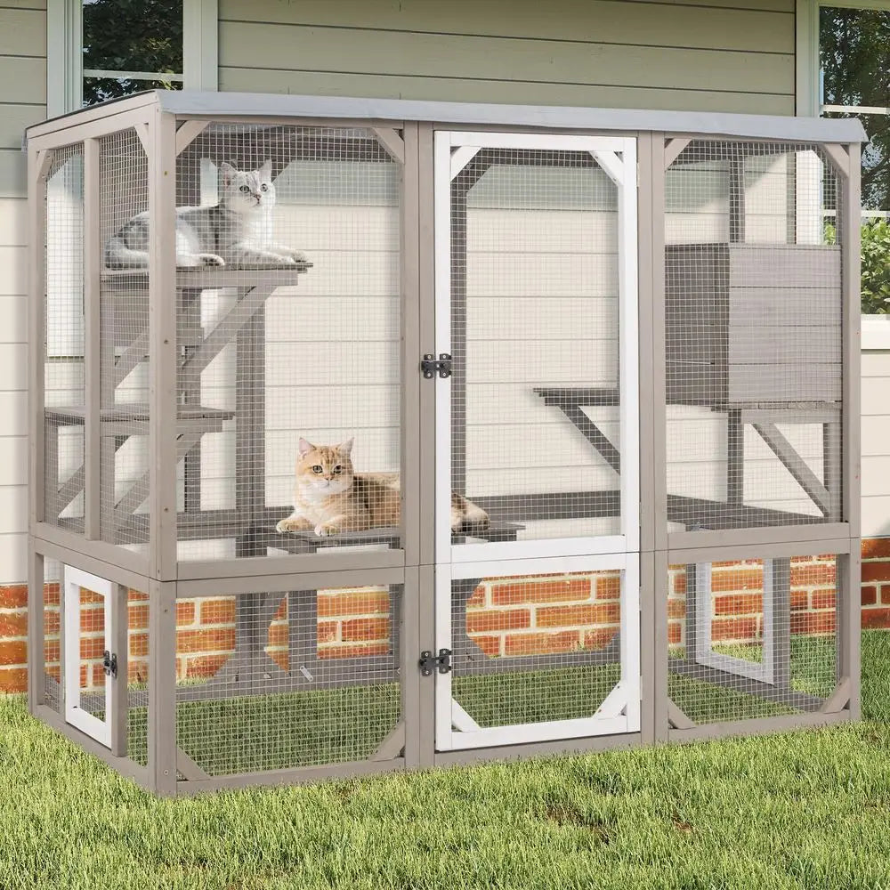 Outdoor Cat Catio Enclosure With Platforms And Resting Boxes