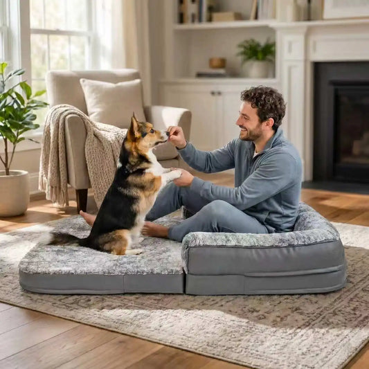 Bingopaw Orthopedic Dog Bed Couch With Washable Removable Cover