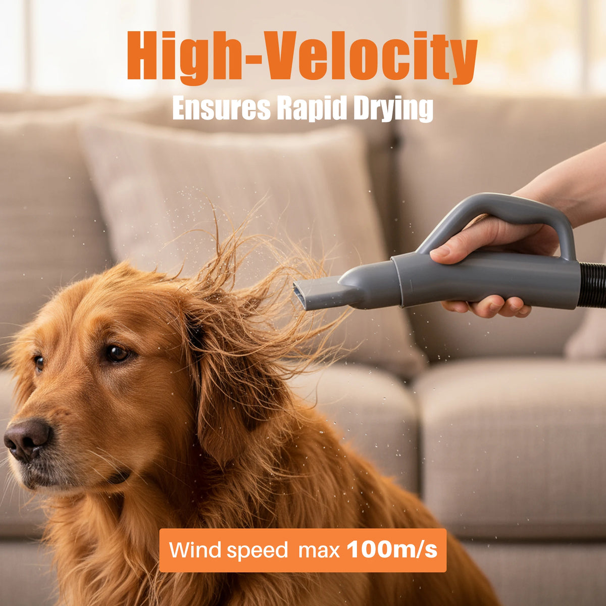 JHK Pet Grooming Vacuum Kit With Adjustable Temperature Blow Dryer