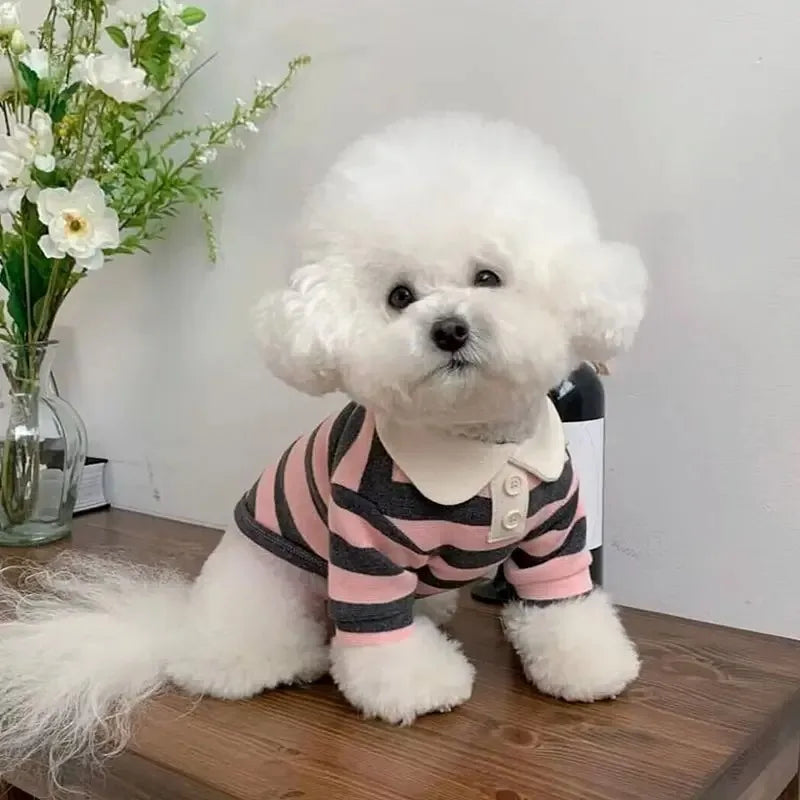 Cotton Summer Polo Shirt for Dogs With Cooling Comfort