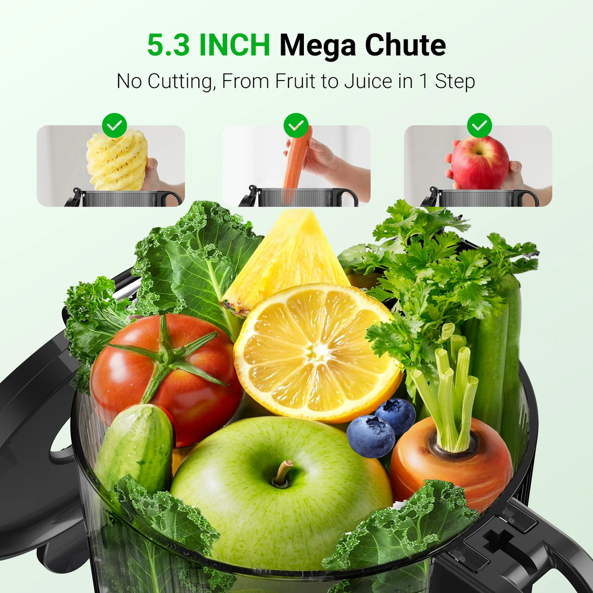Aeitto Cold Press Masticating Juicer With Reverse Function For Produce