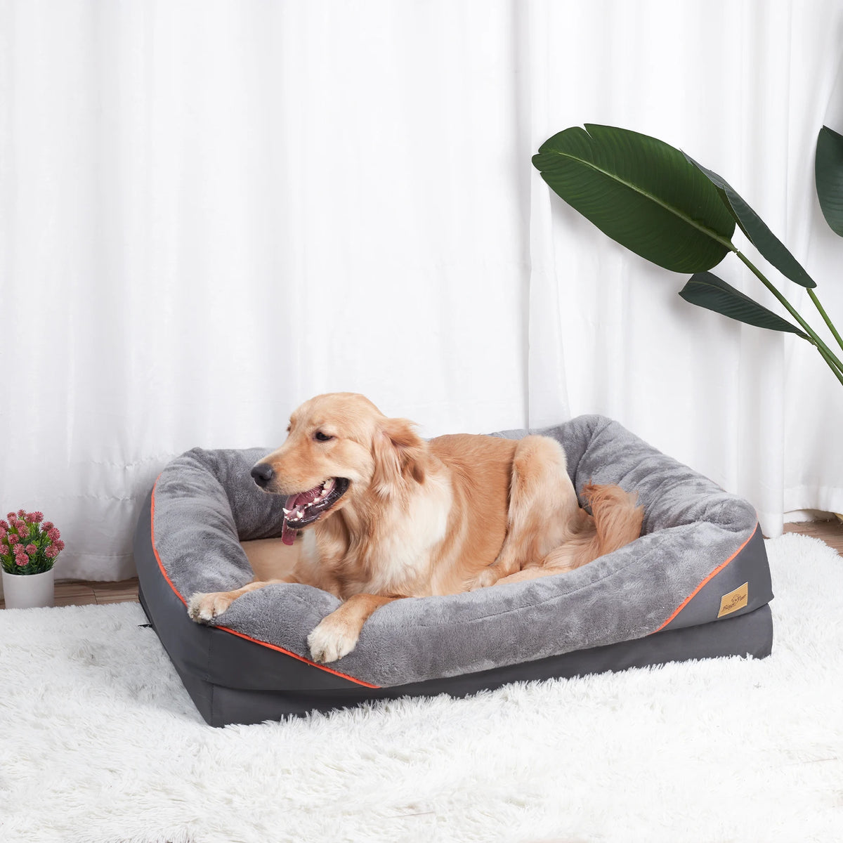 BINGOPAW Comfortable Foam Dog Bed With Removable Washable Cover