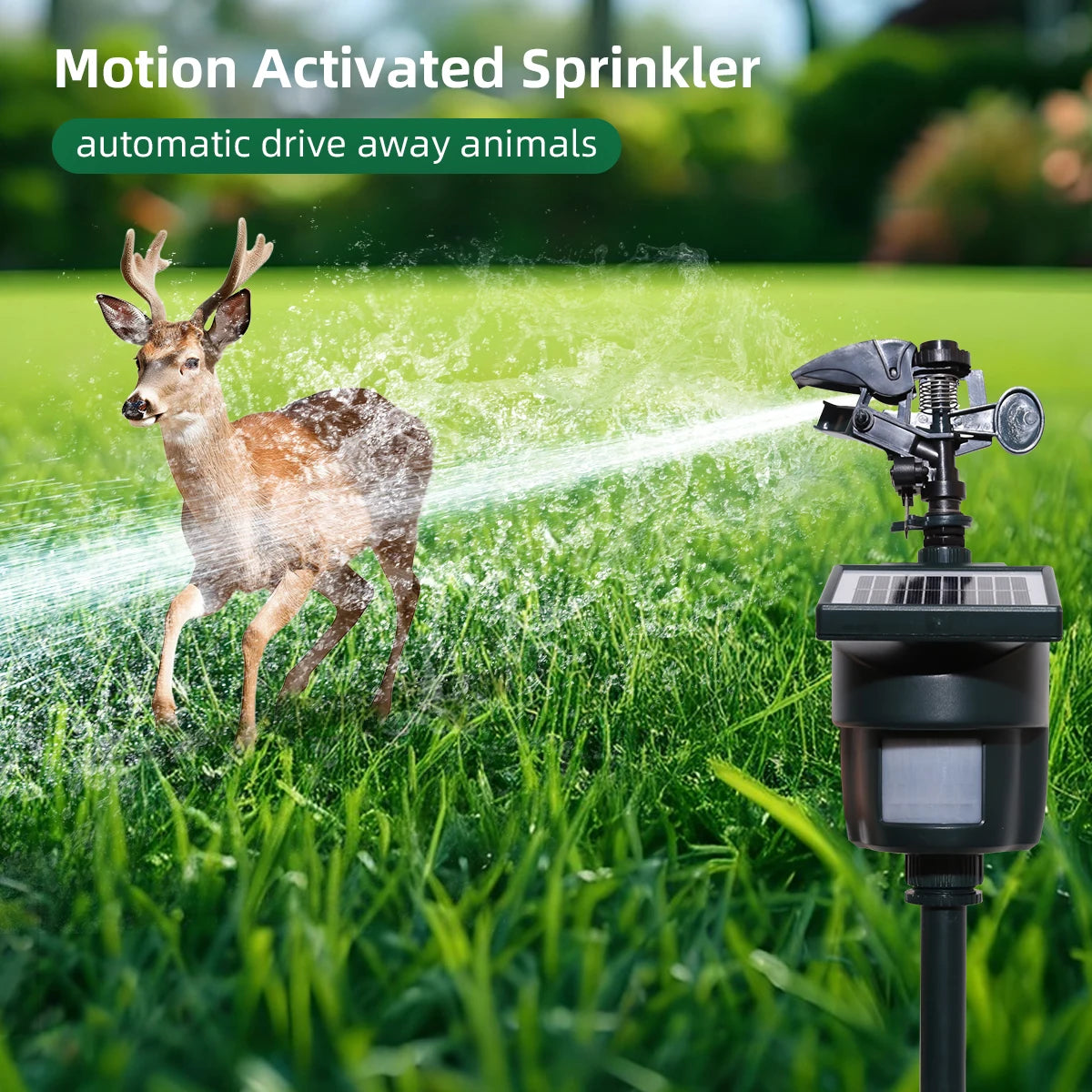 Yardeen Solar Motion Activated Sprinkler With Day And Night Detection