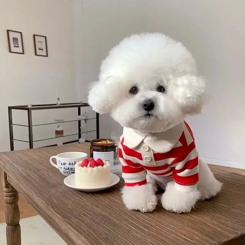 Cotton Summer Polo Shirt for Dogs With Cooling Comfort