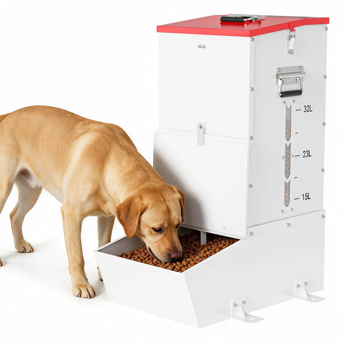 Lockable Automatic Metal Gravity Feeder for Dogs and Farm Animals